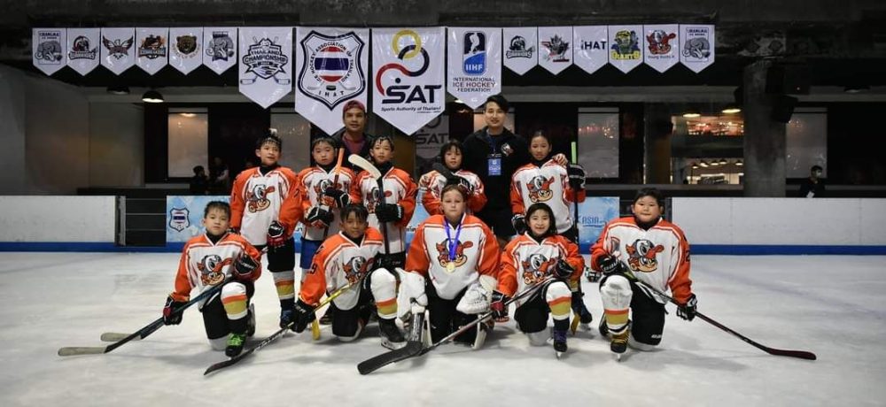 Young Ducks Jr Ice Hockey